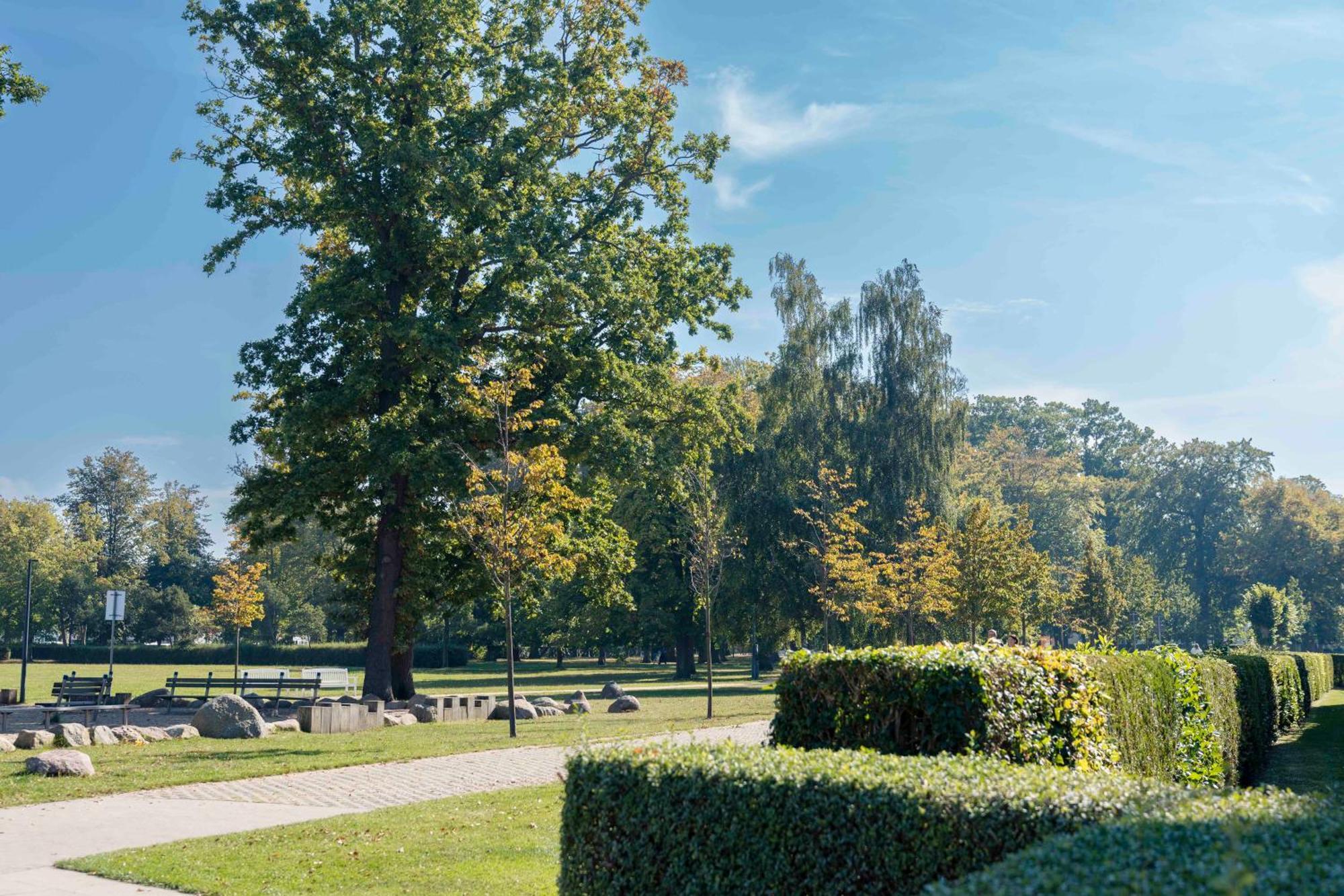 meergut HOTELS Ostseebad Kühlungsborn Buitenkant foto